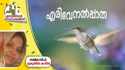 എരിവേനല്പ്പാത