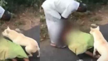 நாய்க்கு இருக்கும் நன்றி மகனுக்கு இல்லையா? தாயை தரதரவென நடுரோட்டி இழுத்து போட்டு தாக்கிய மகன்..!