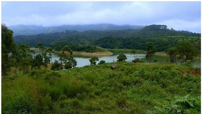 సొంతూరికి స్వయంగా రోడ్డేస్తున్న గిరిజనుడు ధనేశ్వర్ ప్రధాన్.. ‘మాంఝీ’ని తలపిస్తున్న కృషి