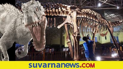 ಚೀನಾದಲ್ಲಿ ನೀಲಿ ತಿಮಿಂಗಿಲದಷ್ಟು ದೊಡ್ಡ ಎರಡು ಹೊಸ ಡೈನೋಸಾರ್ ಪಳಿಯುಳಿಕೆ ಪತ್ತೆ