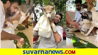 ಹೊಸ ಬಟ್ಟೆ ಧರಿಸಿ ಹಬ್ಬದೂಟ ಮಾಡಿದ ಶ್ವಾನ, ವಿಡಿಯೋ ವೈರಲ್