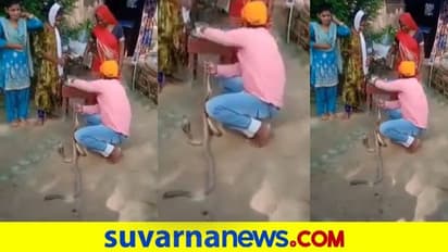 ಹಾವಿನ ಜೊತೆ ರಾಖಿ ಹಬ್ಬ: ತಿಲಕ ಹಚ್ಚುವಾಗ ಹಾವು ಕಚ್ಚಿ ಸಾವು