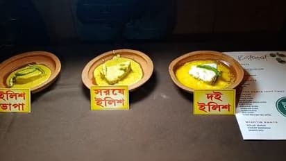 স্বাদবদলে রসে-বশে বাঙালি, জমে উঠল পদ্মার 'ইলিশ পার্বণ' উৎসব