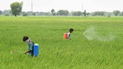 അക്കൗണ്ടിലേക്ക് തെറ്റായി പണം വന്നു, തിരിച്ചെടുക്കണമെന്ന് കർഷകർ, പരിഹാരം കാണാതെ സർക്കാർ