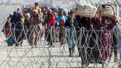 Airbnb offers free accommodation to 20,000 Afghan refugees globally