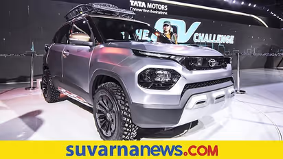 ಹಬ್ಬಕ್ಕೆ  ‘ಪಂಚ್’ ನೀಡಲು ಟಾಟಾ ರೆಡಿ, ಹೊಸ ಮೈಕ್ರೋ ಎಸ್‌ಯುವಿ ಅನಾವರಣ