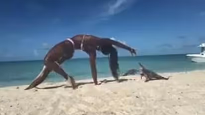 യോഗ ചെയ്യുന്നതിനിടെ യുവതിയുടെ വിരലിൽ കടിച്ച് ഇഗ്വാന; വീഡിയോ കണ്ടത് 36 ലക്ഷം ആളുകൾ!