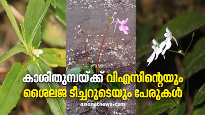 പുതുതായി കണ്ടെത്തിയ കാശിതുമ്പകള്‍ക്ക് വി എസ് അച്യുതാനന്ദന്‍റെയും ശൈലജ ടീച്ചറുടെയും പേരുകള്‍