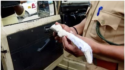 എക്സൈസ് 'മുക്കിയ' മാൻകൊമ്പ് കസ്റ്റഡിൽ എടുത്ത് വനം വകുപ്പ്, ഇന്ന് കോടതിയിൽ ഹാജരാക്കും