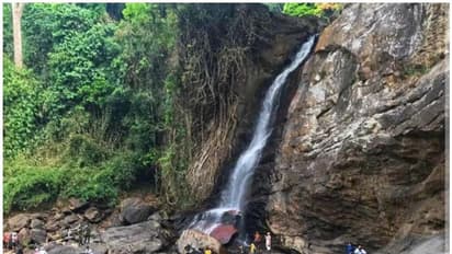 പ്രതിഷേധങ്ങള്ക്കൊടുവില് സൂചിപ്പാറ തുറന്നു; സഞ്ചാരികളുടെ തിരക്ക്