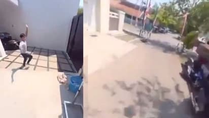 വീഡിയോ പകര്ത്തുന്നതിനിടെ ഫോണും കൊണ്ട് തത്ത പറന്നു; ക്യാമറയില് പതിഞ്ഞ ദൃശ്യങ്ങള് വൈറല്