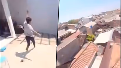 Parrot turns mobile snatcher; a bird flies away with a phone video goes viral