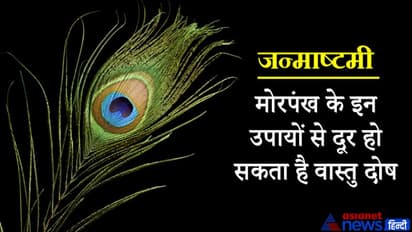 भगवान श्रीकृष्ण को प्रिय है मोरपंख, इसके उपायों से दूर हो सकता है वास्तु दोष व अन्य परेशानियां
