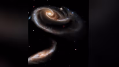 NASA's viral video on ‘sweet cosmic rose’ will make your day; watch the video