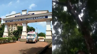 പഠന ആവശ്യത്തിന് മൊബൈലിൽ റേഞ്ചില്ല, കൂറ്റൻ മരത്തിൽ കയറിയ വിദ്യാർത്ഥിക്ക് പാറക്കൂട്ടത്തിൽ വീണ് ഗുരുതര പരിക്ക്