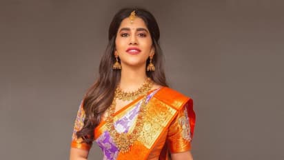 సన్నజాజి తీగలాంటి నడుము చుట్టూ పట్టు చీర చుట్టి... పండగవేళ పద్ధతిగా పరువాలను పరిచయం చేసిన నభా