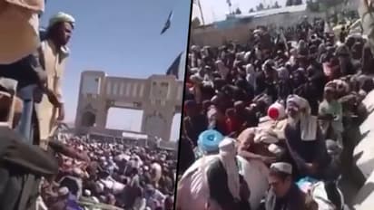 Afghans desperately throng Pakistan border to escape Taliban rule; watch video