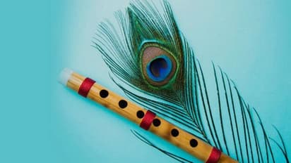 ২০২২ সালে জন্মাষ্টমী ১৮ ও ১৯ আগস্ট দুই দিন থাকবে, জেনে নিন আপনার জন্য উপবাসের সঠিক তারিখ কোনটি