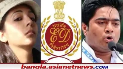 কয়লাকাণ্ডে ইডির সমনের উপর স্থগিতাদেশ চেয়ে মামলা, দিল্লি হাইকোর্টে আবেদন অভিষেক-রুজিরার