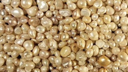 Pearl Treasure valued at over 100 Million US$ has been documented