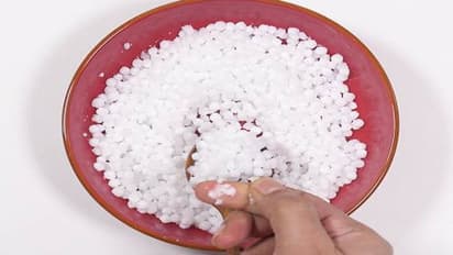 ஜவ்வரிசியில் கலப்படம்.. ஆய்வு செய்து அறிக்கை தாக்கல் செய்ய உயர் நீதிமன்றம் உத்தரவு.