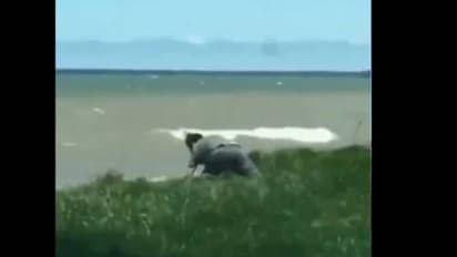 അയ്യോ വീഴല്ലേ വീഴല്ലേ, വീഴാന് പോകുന്ന നായയെ രക്ഷിക്കുന്ന മനുഷ്യന്, മനം കവര്ന്ന് വീഡിയോ