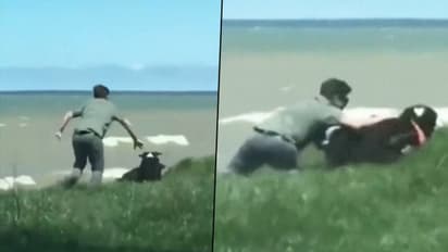 Check out how a man saves his pet dog from rolling off the cliff; video goes viral
