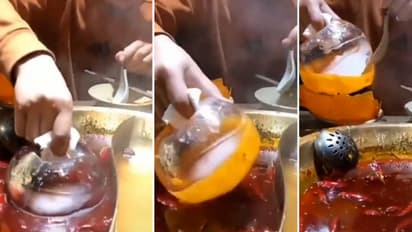 Viral hack of removing oil from curry with ice block divides internet; watch the video