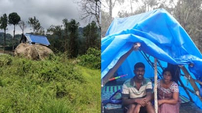 വീട് കാട്ടാനയുടെ ആക്രമണത്തില്‍ നശിച്ചു; പാറപ്പുറത്ത് അഭയം തേടി രോഗിയായ അമ്മയും മകനും