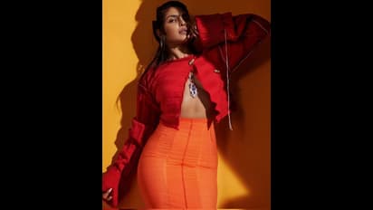 বলিউড-হলিউড দাপিয়ে ব্যাঙ্কে কত কোটি প্রিয়ঙ্কার, বিজ্ঞাপন পিছু ৫ কোটির দাবি