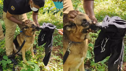 ഫേസ്ബുക്ക് പ്രേമം, ഒളിച്ചോട്ടം, പിണങ്ങിയിറങ്ങിയപ്പോള് ഭര്ത്താവിന്റെ വീട്ടുകാര്ക്ക് 'പണി' കൊടുത്ത് യുവതി