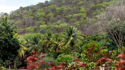 ಜಡೆ ತಾಗಿಸಿದ್ರೆ ಕೂದಲು ಉದ್ದ ಆಗುತ್ತೆ ಅಂತ ನಂಬುವ ಈ ಹಾವಿನ ವಿಶೇಷತೆ ಏನು?