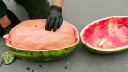 Traffickers using watermelons to transport drugs leaves netizens shocked; watch the video