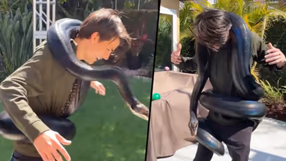 Viral video: Man walks with giant colourful snake rolled around him