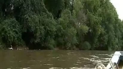 നദിയിൽ ഇരുന്നൂറോളം ആടുകളുടെ തലയില്ലാ ജഡങ്ങൾ ഒഴുകി നടക്കുന്നു, പരിഭ്രാന്തരായി ജോർജ്ജിയയിലെ ജനങ്ങൾ