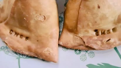 Samosa with 'serial number' goes viral; Check out how Twitterati reacted