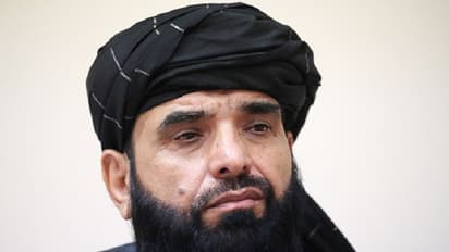 We have the right to raise voice for Muslims in Kashmir: Taliban spokesperson Suhail Shaheen