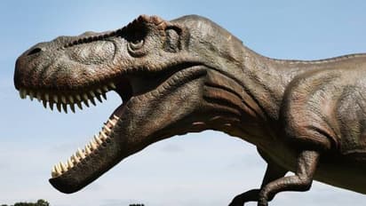 Dinosaur: নতুন প্রজাতির ডাইনোসরর সন্ধান, ব্রাজিল ছিল দৈত্যাকার প্রানীদের চারণভূমি