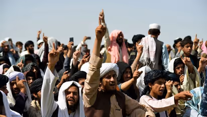 పంజ్షిర్ రెబల్స్ చేతిలో 700 మంది తాలిబాన్లు హతం? ట్విట్టర్లో వెల్లడించిన తిరుగుబాటుదారులు