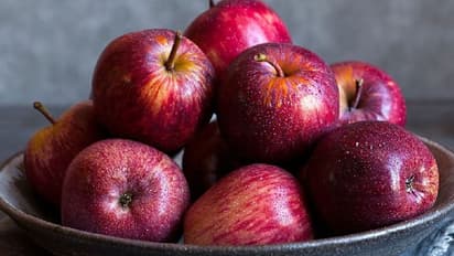 আপেল খেলে স্বাস্থ্যের ক্ষতি হতে পারে! জানতেন এই ৫টি তথ্য? 