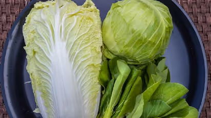 Cabbage Chutney: முட்டைக்கோஸில் இப்படி ஒரு சுவையான சட்டினியா? சிம்பிள் முறையில் இப்படி ஒருமுறை செய்து பாருங்க