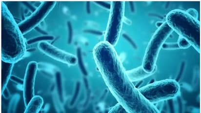 നിപ വൈറസ് ബാധയെക്കുറിച്ചുള്ള വ്യാജപ്രചാരണങ്ങള്‍ വിശ്വസിക്കരുത്; ഡോക്ടർ  പറയുന്നു...