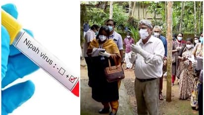 ನಿಫಾ ಆತಂಕ: ದಕ್ಷಿಣ ಕನ್ನಡ ಸೇರಿ ಗಡಿ ಜಿಲ್ಲೆಗಳಲ್ಲಿ ಹೈ ಅಲರ್ಟ್