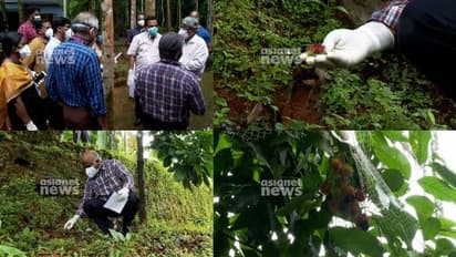 നിപ: കേന്ദ്രസംഘം കോഴിക്കോട്, പന്ത്രണ്ടുകാരൻ റംബൂട്ടാൻ കഴിച്ചെന്ന് കരുതുന്നയിടം സന്ദർശിച്ചു, സാമ്പിൾ ശേഖരിച്ചു
