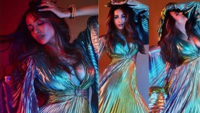 1.7 ലക്ഷം രൂപയുടെ മെറ്റാലിക് ഗൗണില് തിളങ്ങി മലൈക അറോറ