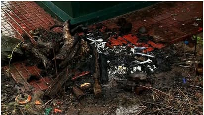 ബിജെപി നേതാവ് കെ ജി മാരാരുടെ സ്മൃതി കുടീരത്തില് നായയുടെ ജഡം: പിന്നിൽ ഗൂഢാലോചനയെന്ന് ബിജെപി