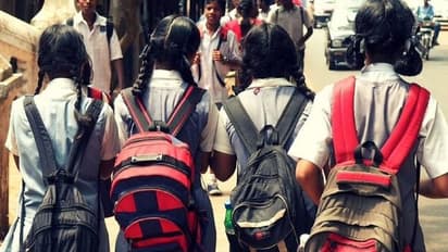 National Achievement Survey: तीसरी से 8वीं तक के स्टूडेंट्स के लिए होगा सर्वे, 38 लाख छात्र होंगे शामिल