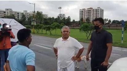 'আগে ইডি সিবিআই থেকে বাঁচুন, পরে আমাদের বিধায়কদের নিয়ে ভাববেন', অভিষেককে খোঁচা দিলীপের