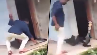 A man attempted to catch king cobra;  Find out what happened next