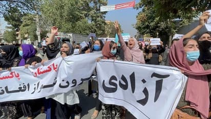 নাকে খত, লাথি, গ্রেফতার - বেনজির তালিবানি সন্ত্রাস নেমে এল সাংবাদিকদের উপর, দেখুন